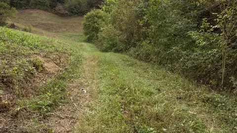 1 Noah Rd, Beechgrove, TN 37018 photo 30