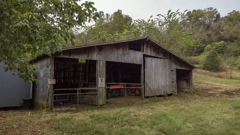 1 Noah Rd, Beechgrove, TN 37018 photo 17
