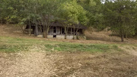 1 Noah Rd, Beechgrove, TN 37018 photo 19