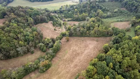 1 Noah Rd, Beechgrove, TN 37018 photo 25