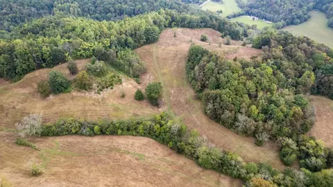 1 Noah Rd, Beechgrove, TN 37018 photo 8