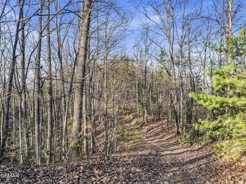 3519 Forest Trails Drive Lot Tr R, Sevierville, TN 37876