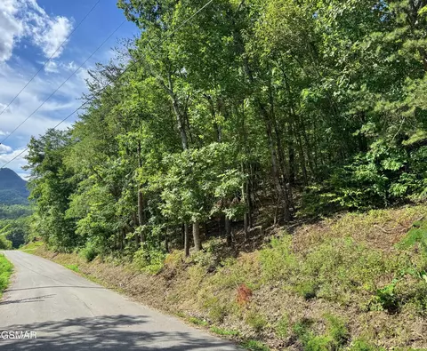 0 Helton Rd, Sevierville, TN 37876