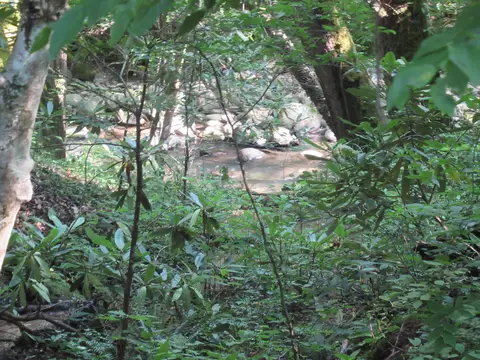 4 Rocky Flats Rd, Cosby, TN 37722