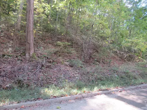 114 Bear Valley Rd, Sevierville, TN 37862