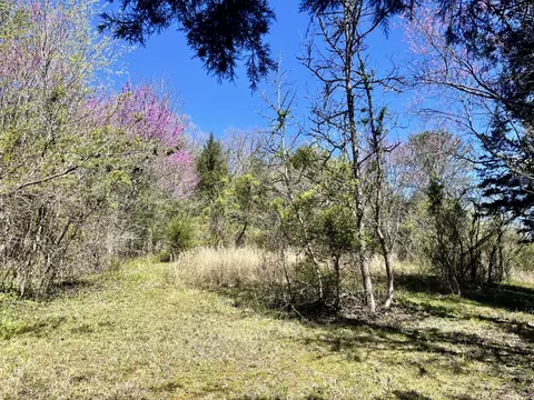 19 Caughron Mtn Rd, Sevierville, TN 37876