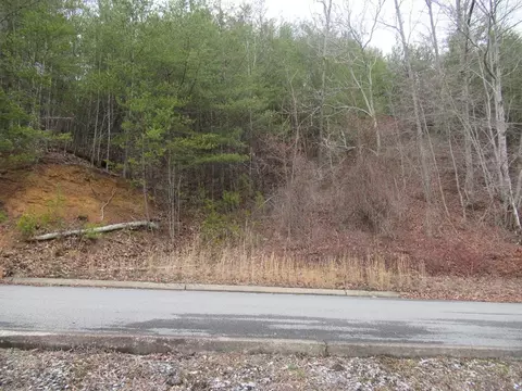 156 Bear Valley Rd, Sevierville, TN 37862