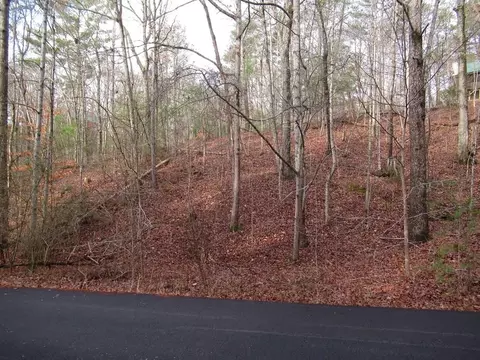 36 Summer Ln, Sevierville, TN 37862