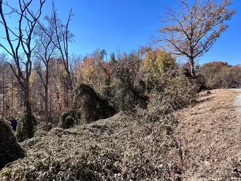 810 Park Dr, Gatlinburg, TN 37738