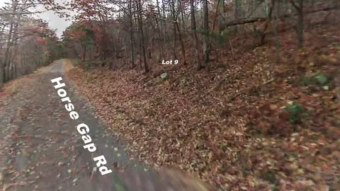 9 Horse Gap Rd, Sevierville, TN 37876