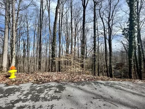 7 Carter Plaza Dr, Gatlinburg, TN 37738