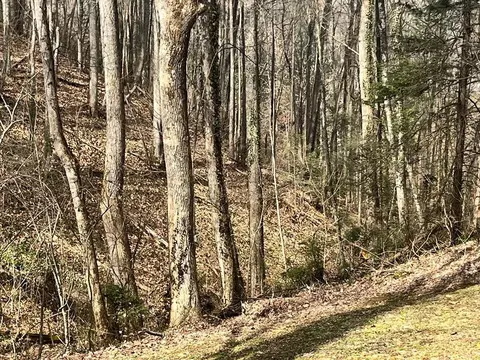 15 Cole Ln, Gatlinburg, TN 37738