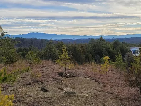 2720 Buck Horn Rd, Sevierville, TN 37876