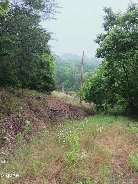 0 Highway 31, Mooresburg, TN 37811