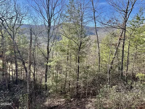 1306 Morning Dove Way, Sevierville, TN 37862