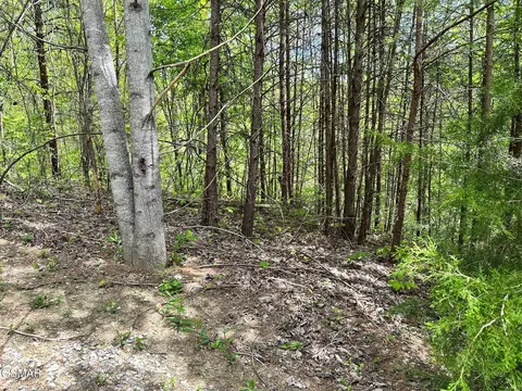 1430 Mountain Dreams Way, Sevierville, TN 37862