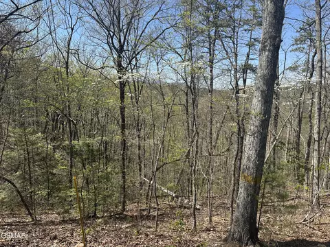 1532 Mountain Dreams Way, Pigeon Forge, TN 37862