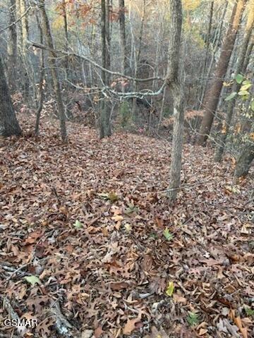 0 Gold Dust Dr, Pigeon Forge, TN 37863