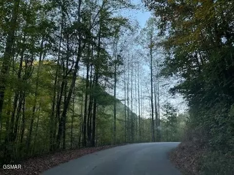 439 Caney Creek Rd, Pigeon Forge, TN 37863