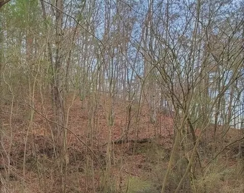 9 Fox Hunters Ln, Sevierville, TN 37876
