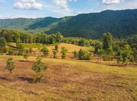 0 War Creek Rd, Eidson, TN 37731