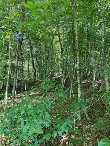 0 Off Chapman Hwytarwater, Sevierville, TN 37876