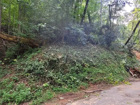 0 San Remo Dr, Gatlinburg, TN 37738