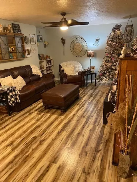 538 Alpine Cir, Talbott, TN 37877 photo 9