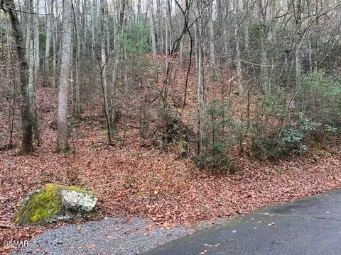 1 Big Buck Trl, Townsend, TN 37882