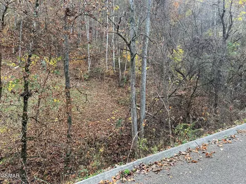 6 Pulaski Ln, Sevierville, TN 37862