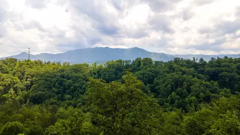 275 Sourwood Dr, Gatlinburg, TN 37738