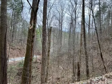 3 Woodside Ln, Sevierville, TN 37862