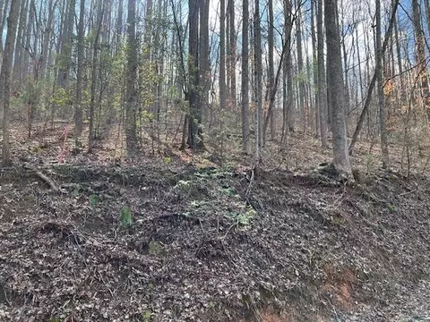 3 Grey Fox Run, Sevierville, TN 37862
