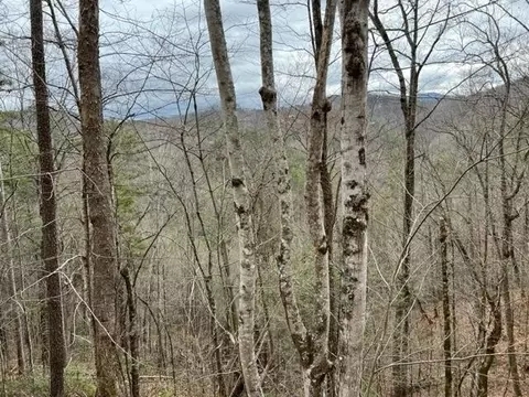 4 Sunset Rd, Sevierville, TN 37862