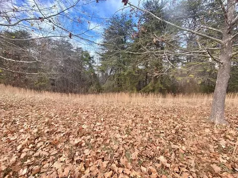 15 River Cliff Dr, Sevierville, TN 37862