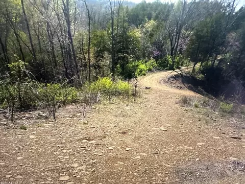 0 Parton Holw, Sevierville, TN 37876