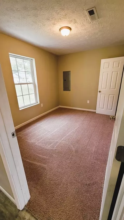 3003 Kimberly Dr, White Pine, TN 37890 photo 12