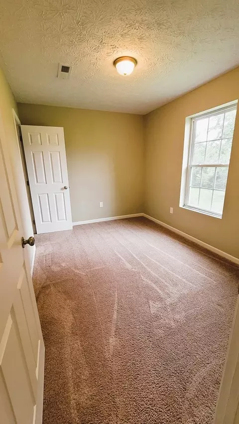 3003 Kimberly Dr, White Pine, TN 37890 photo 14