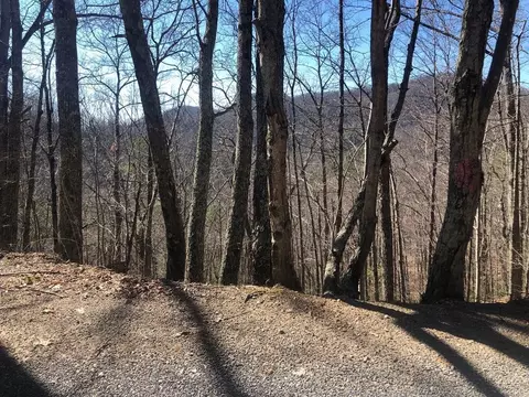 12 John Sevier, Sevierville, TN 37876