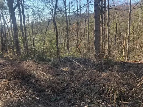 53 Butternut Ln, Sevierville, TN 37876