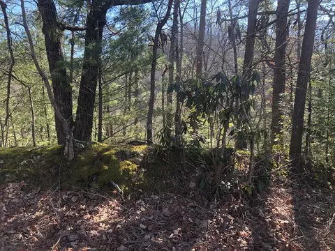 53 Magnolia Pl, Sevierville, TN 37876