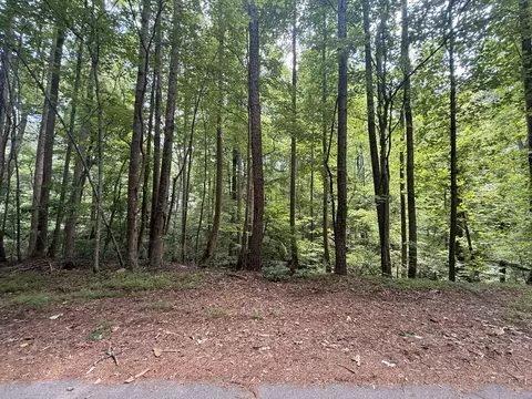 3008 Mohawk Dr, Gainesville, GA 30501 photo 16