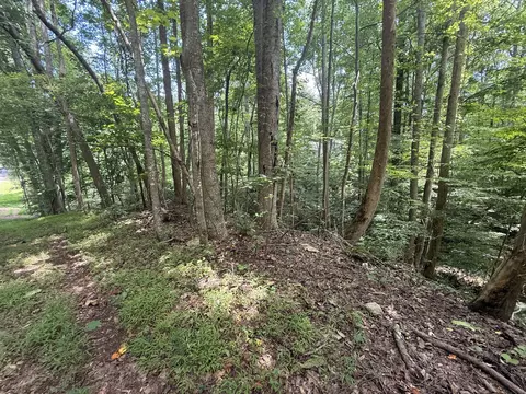 3008 Mohawk Dr, Gainesville, GA 30501 photo 12