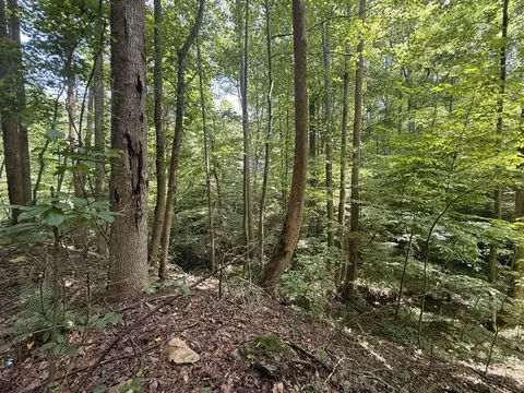 3008 Mohawk Dr, Gainesville, GA 30501 photo 14