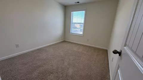 4202 Grapevine Loop, Smyrna, TN 37167 photo 24