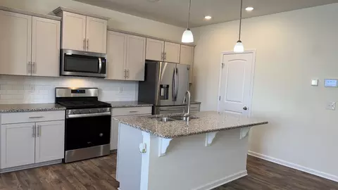 4202 Grapevine Loop, Smyrna, TN 37167 photo 20