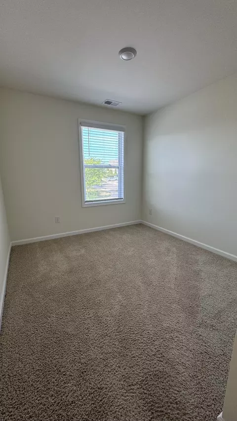 4202 Grapevine Loop, Smyrna, TN 37167 photo 23