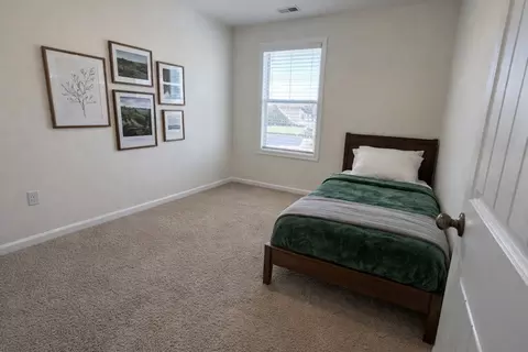 4202 Grapevine Loop, Smyrna, TN 37167 photo 11