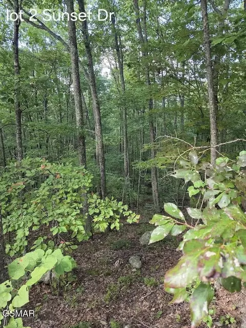 2 Sunset Dr, Sevierville, TN 37876