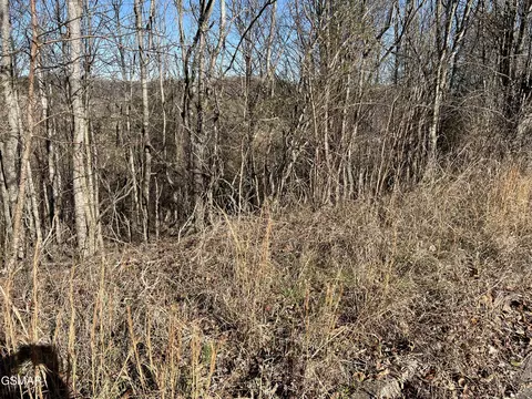 2 Baldwin View Dr, New Market, TN 37820